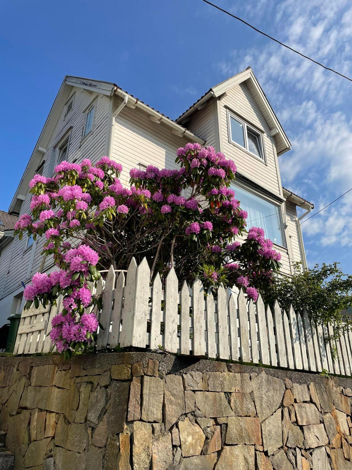 Gate 1 Bnb, 177 House Nr, Maloy Bed & Breakfast Exterior photo